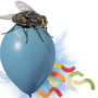 Quand l’électrostatique devient une arme d’infection parasitaire Capture d’écran, le 2026-06-20 à 20.34.14